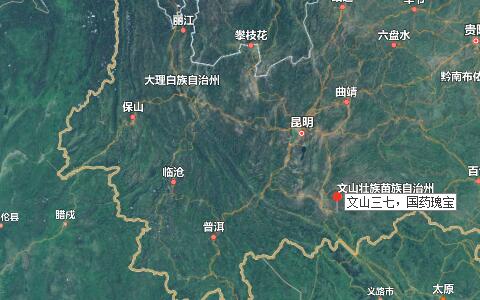 三七粉價(jià)格，三七花價(jià)格，三七的功效