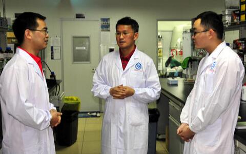 三七粉價(jià)格，三七花價(jià)格，三七的功效